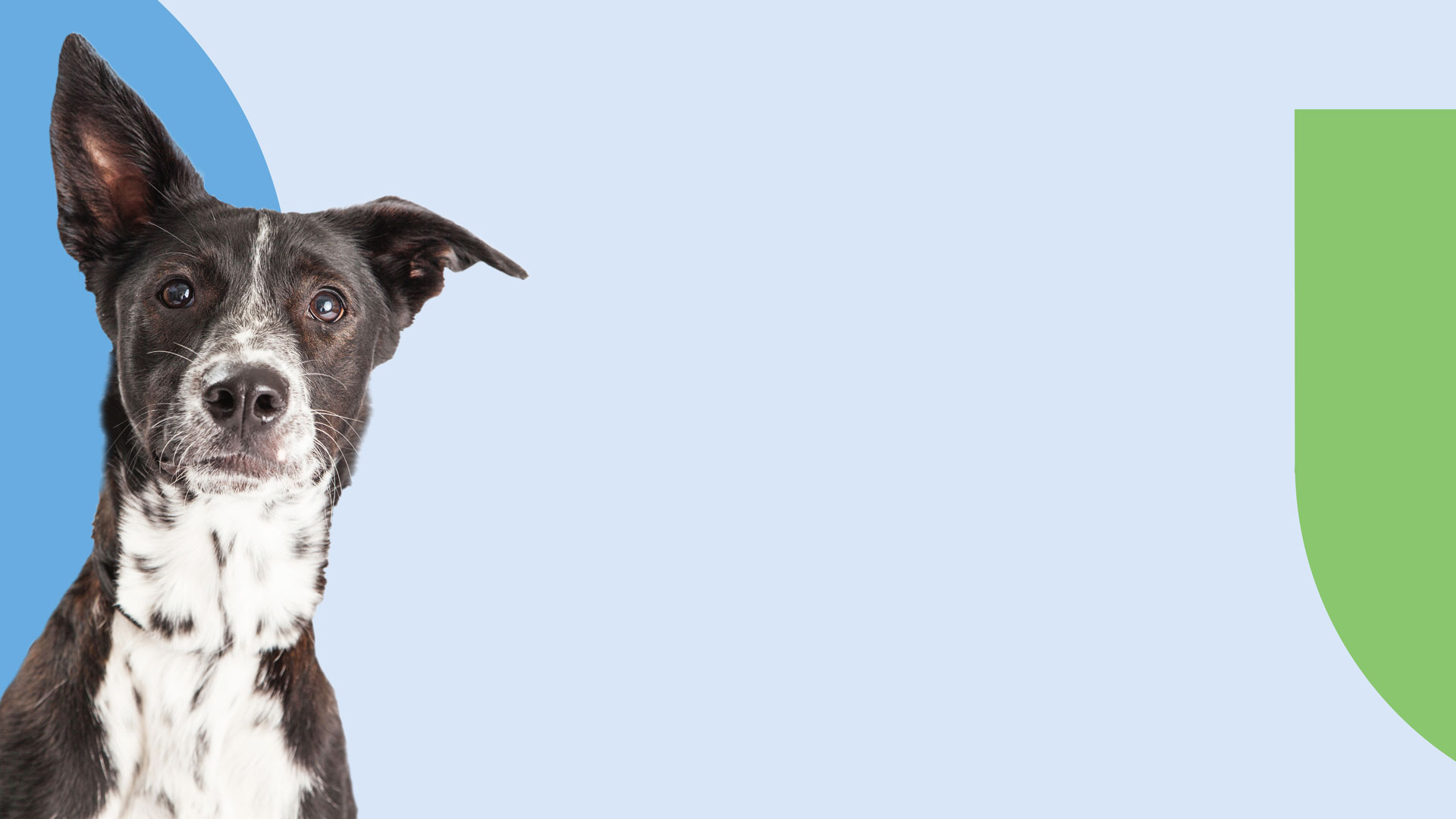 Buehne_VetCenter_1920x1080_1v2